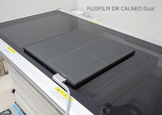 FUJIFILM DR CALNEO Dual